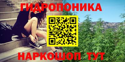 тгк Ливны