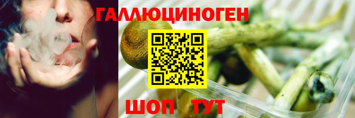 Псилоцибиновые грибы MAGIC MUSHROOMS  Вход с VPN  Южноуральск 